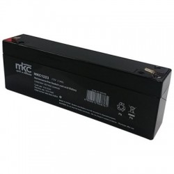 BATTERIA 12V 2.3A TERMINALE...