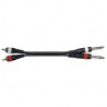 CAVO 2X RCA M-2X JACK6,3M 1,5M JJRR-15BK